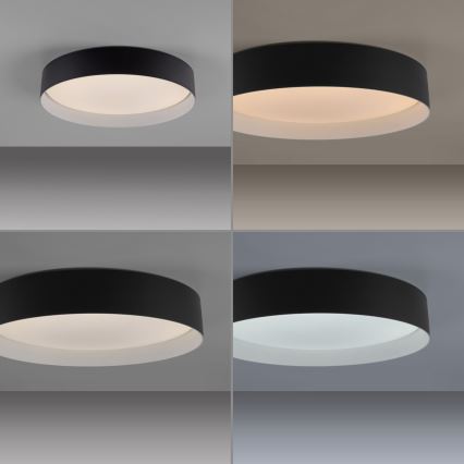 Schöner Wohnen 14594-18 - Dæmpbar LED-loftlampe TAVOLI LED/20W/230V 2700-6500K Ø 39 cm sort + fjernbetjening