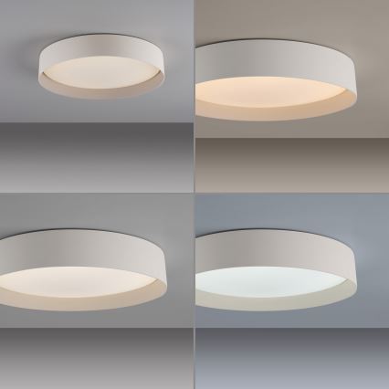 Schöner Wohnen 14594-39 - LED dæmpbar loftlampe TAVOLI LED/20W/230V 2700-6500K Ø 39 cm grå + fjernbetjening