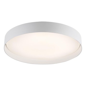 Schöner Wohnen 14595-16 - Dæmpbar LED-loftlampe TAVOLI LED/34W/230V 2700-6500K Ø 49 cm hvid + fjernbetjening