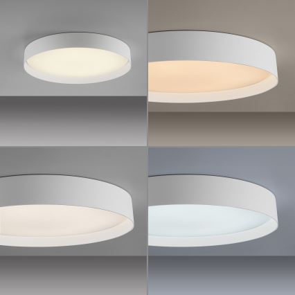 Schöner Wohnen 14595-16 - Dæmpbar LED-loftlampe TAVOLI LED/34W/230V 2700-6500K Ø 49 cm hvid + fjernbetjening