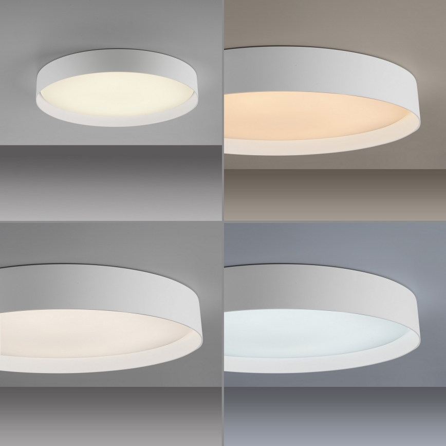 Schöner Wohnen 14595-16 - Dæmpbar LED-loftlampe TAVOLI LED/34W/230V 2700-6500K Ø 49 cm hvid + fjernbetjening