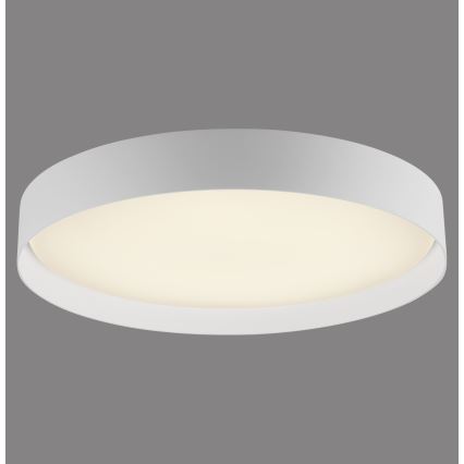 Schöner Wohnen 14595-16 - Dæmpbar LED-loftlampe TAVOLI LED/34W/230V 2700-6500K Ø 49 cm hvid + fjernbetjening