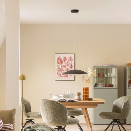 Schöner Wohnen 14606-18 - LENTE LED/17W/230V, dæmpbar LED-pendel på wire, Ø 40 cm, sort