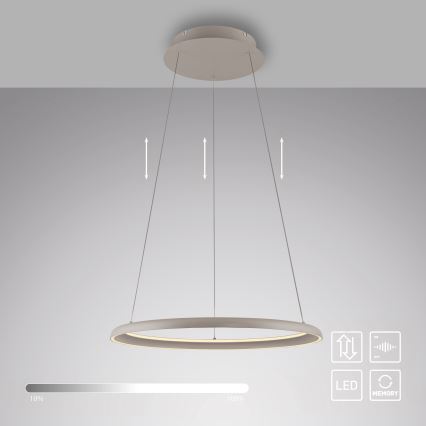 Schöner Wohnen 15570-39 - Dæmpbar LED-pendel på wire QUILLO LED/36W/230V Ø 60 cm grå