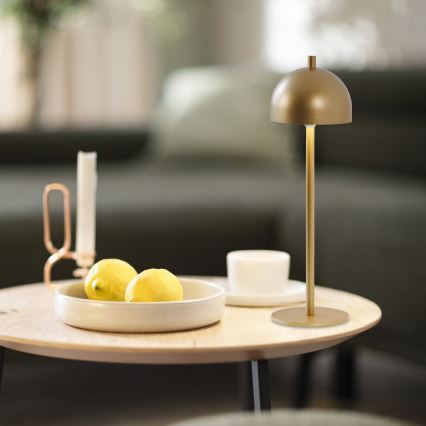 Schöner Wohnen 19244-12 - dæmpbar, berøringsbetjent, genopladelig udendørs bordlampe BELLIS LED/2,5W/5V 2600 mAh IP54 guld