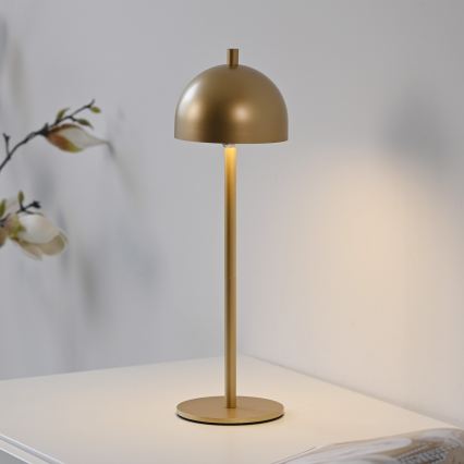 Schöner Wohnen 19244-12 - dæmpbar, berøringsbetjent, genopladelig udendørs bordlampe BELLIS LED/2,5W/5V 2600 mAh IP54 guld
