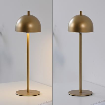 Schöner Wohnen 19244-12 - dæmpbar, berøringsbetjent, genopladelig udendørs bordlampe BELLIS LED/2,5W/5V 2600 mAh IP54 guld