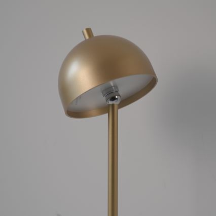 Schöner Wohnen 19245-12 - Dæmpbar, berøringsbetjent, genopladelig udendørs gulvlampe BELLIS LED/2,5W/5V 2600 mAh IP54 guld