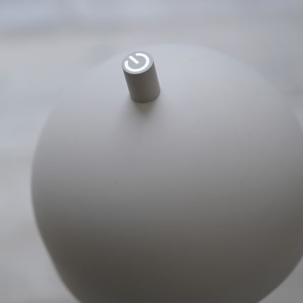 Schöner Wohnen 19245-39 - LED dæmpbar berøringsbetjent genopladelig udendørs gulvlampe BELLIS LED/2,5W/5V 2600 mAh IP54 grå