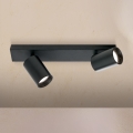 SEAN spotlampe 2xGU10/13W/230V sort