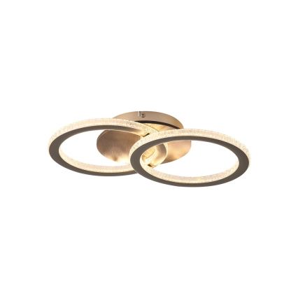 Searchlight - LED-dæmpbar loftlampe SPECS LED/24W/230V 3000K 25x42,5 cm