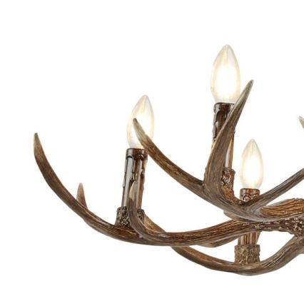Searchlight - Loftlampe på kæde STAG 6xE14/7W/230V gevir