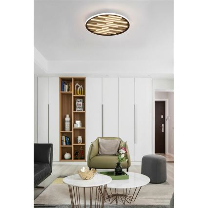 Searchlight - LED-dæmpbar loftlampe EQUALISE LED/33W/230V