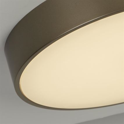 Searchlight - LED-loftlampe PALMA LED/12W/230V 3000K Ø 25 cm bronze