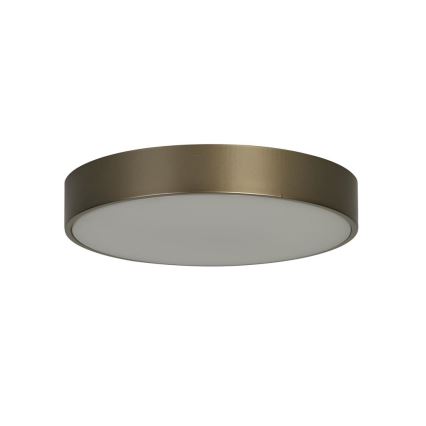 Searchlight - LED-loftlampe PALMA LED/12W/230V 3000K Ø 25 cm bronze