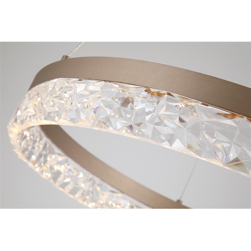 Searchlight - LED dæmpbar pendel på kabel MADELEJNE LED/25W/230V