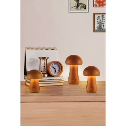 Searchlight - Sæt med 3 LED-bordlamper MUSHROOM LED/1,1W/5V 800 mAh