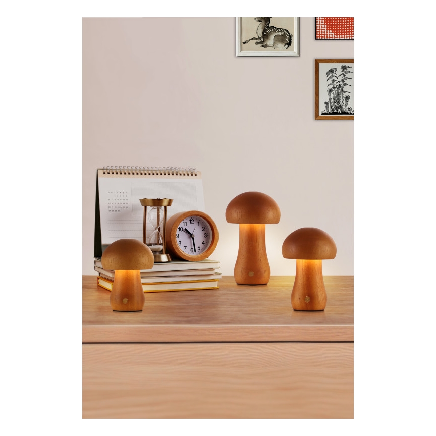 Searchlight - Sæt med 3 LED-bordlamper MUSHROOM LED/1,1W/5V 800 mAh