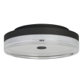 Searchlight - LED loftlampe CYPRUS LED/21W/230V Ø 30 cm sort