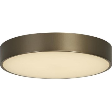Searchlight - LED-loftlampe PALMA LED/12W/230V 3000K Ø 25 cm bronze