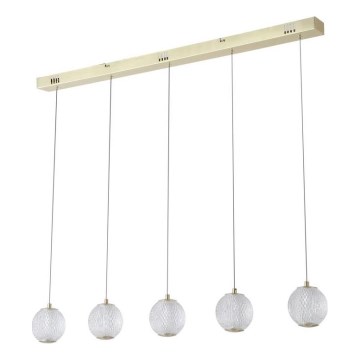 Searchlight - LED-pendel på wire ALLURE 5xLED/4,2W/230V
