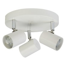 Searchlight - LED spotlamper ROLLO 3xLED/4W/230V hvid