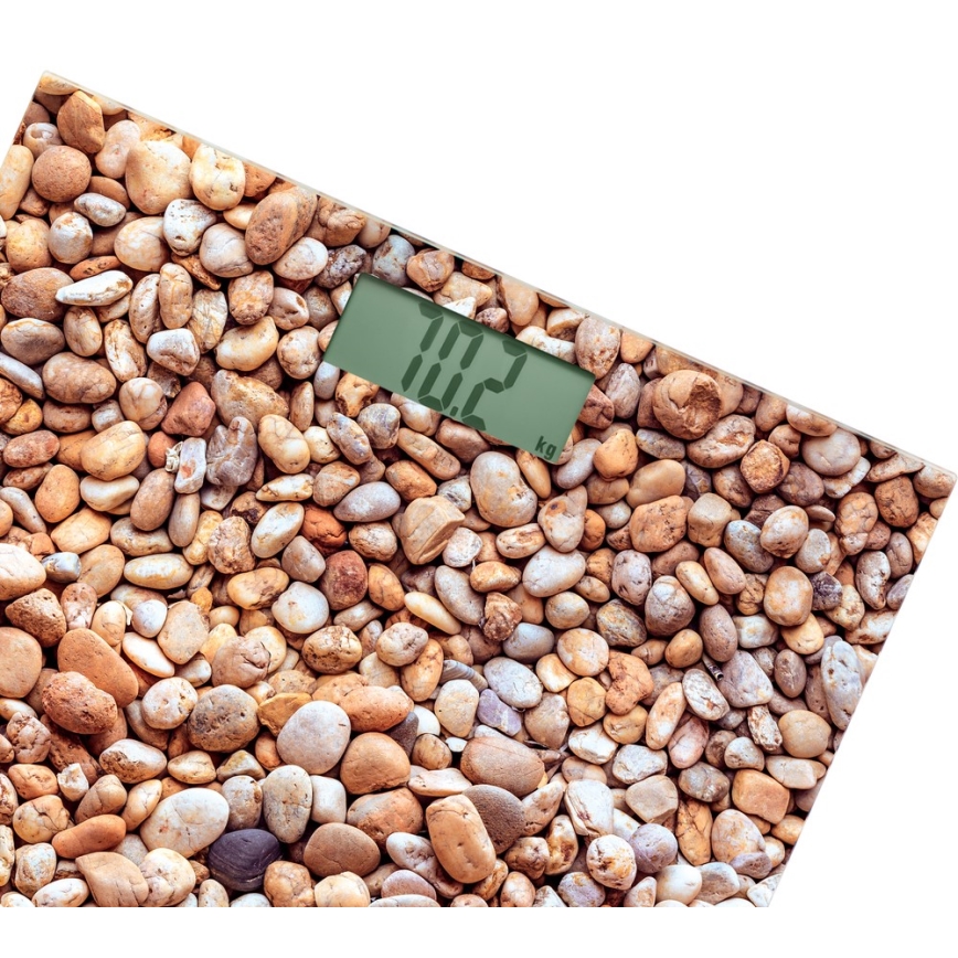 Sencor - Badevægt med LCD-skærm 1xCR2032