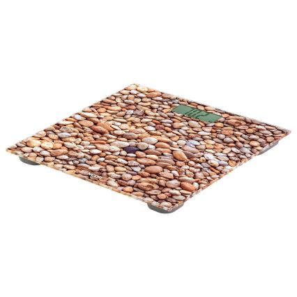 Sencor - Badevægt med LCD-skærm 1xCR2032