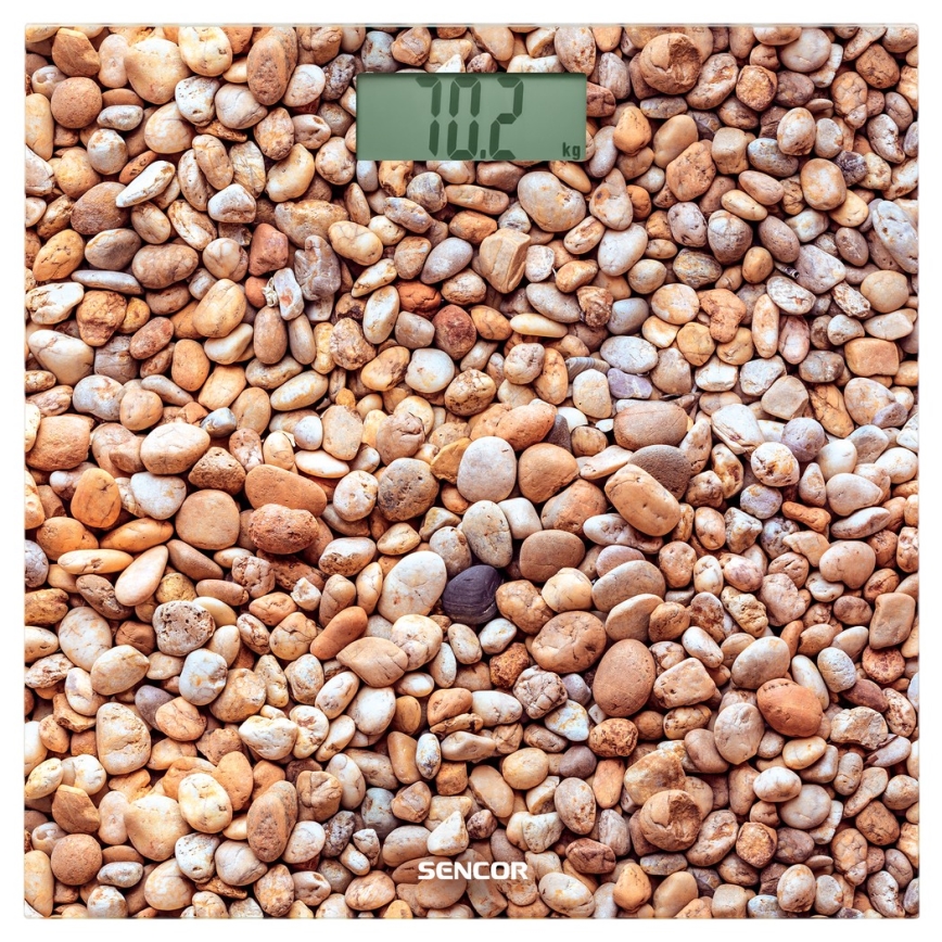 Sencor - Badevægt med LCD-skærm 1xCR2032