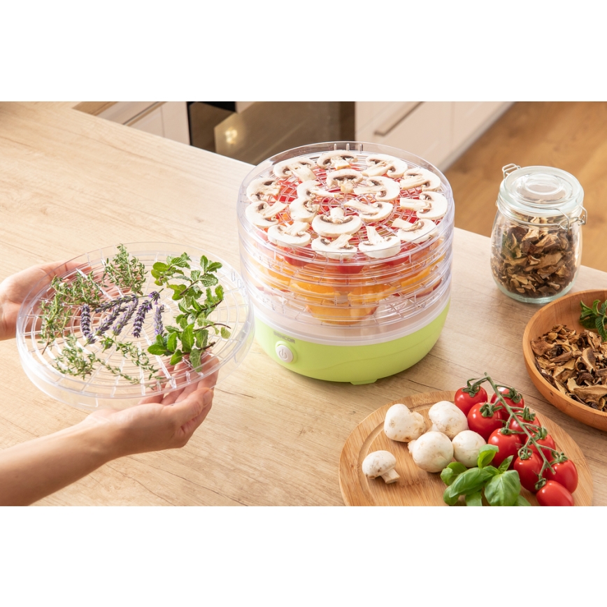 Sencor - Dehydrator 250W/230V