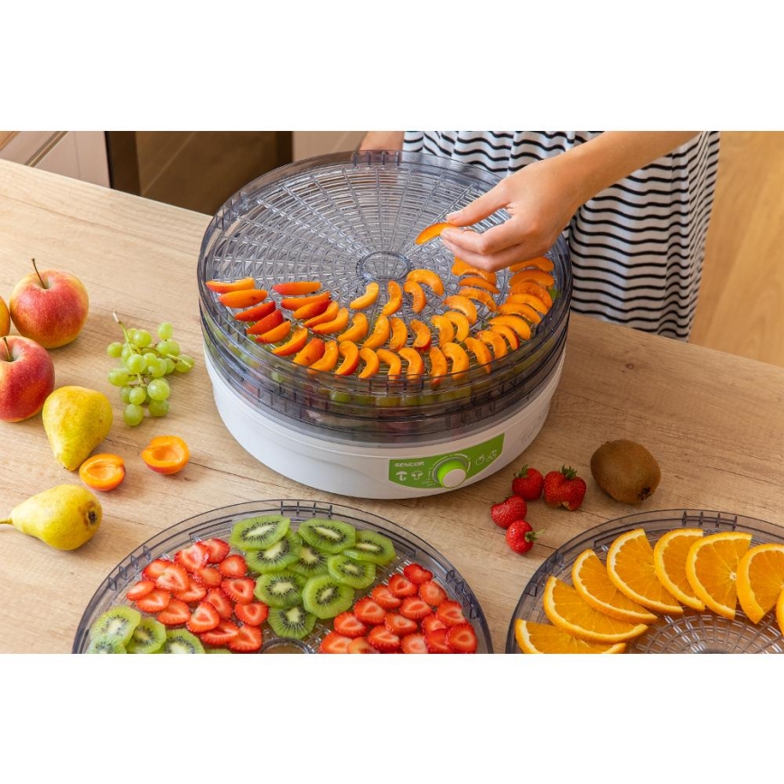 Sencor - Dehydrator med termoregulering 250W/230V