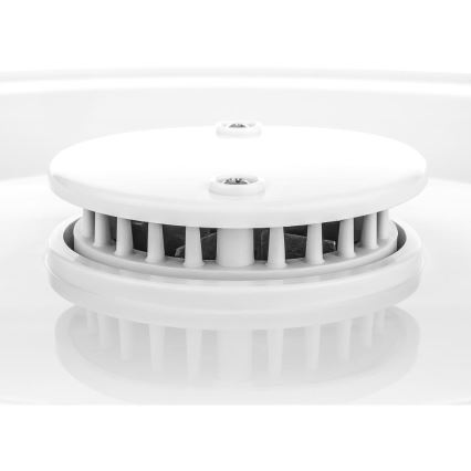 Sencor - Dehydrator med termoregulering 250W/230V