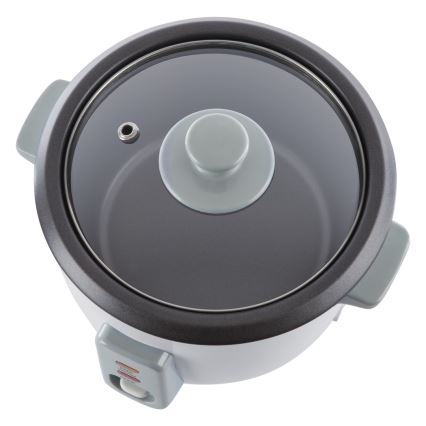 Sencor - Riskoger 300W/230V 0,6 l hvid