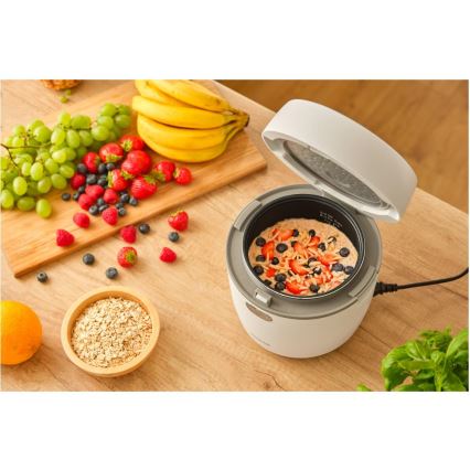 Sencor - Riskoger 350W/230V 0,6 l hvid