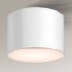 Shilo - Loftlampe 1xGX53/15W/230V hvid