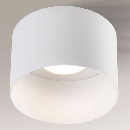 Shilo - Loftlampe 1xGX53/15W/230V hvid