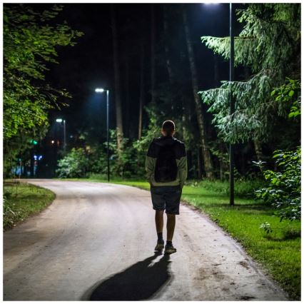Soldrevet LED gadelampe m. bevægelses- og skumringssesnor dæmpbar URBI LED/8W/3,2V 6500K IP54 10000 mAh + fjernbetjening