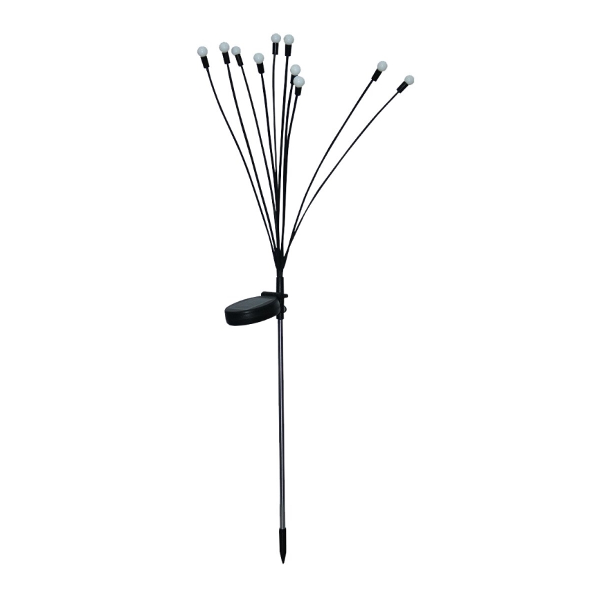 Soldrevet LED lampe 10xLED/1,2V 3000K 73 cm 600 mAh IP44