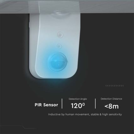 Soldrevet LED væglampe med sensor LED/15W/3,2V 4000K/6000K IP65 hvid