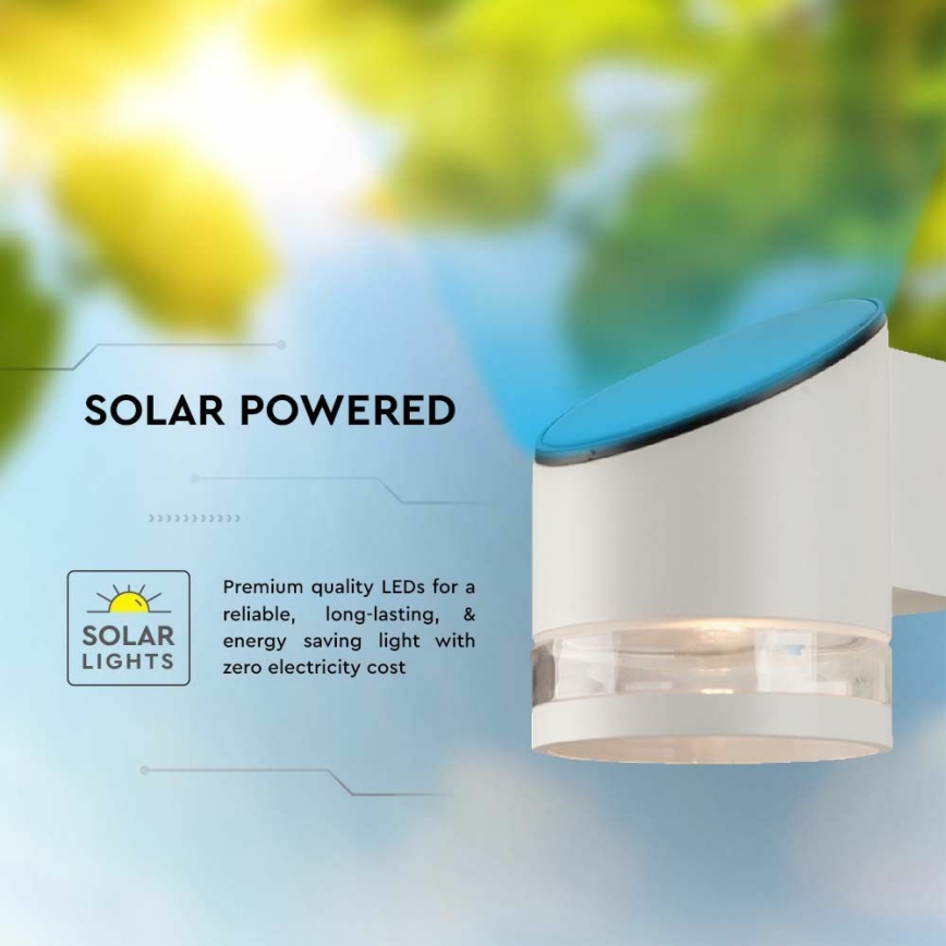 Soldrevet LED væglampe med sensor LED/1W/3,7V IP54 3000K hvid