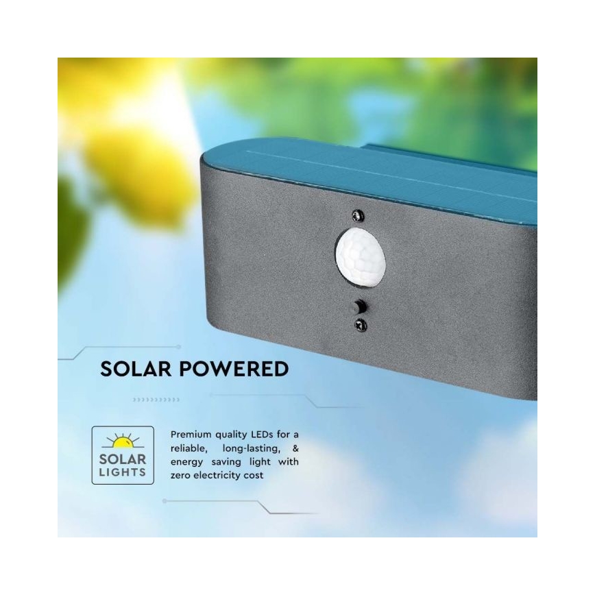 Soldrevet LED væglampe med sensor LED/2,5W/3,7V 3000K IP54