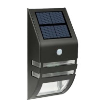Soldrevet LED væglampe med sensor LED/3,7V IP44 sort