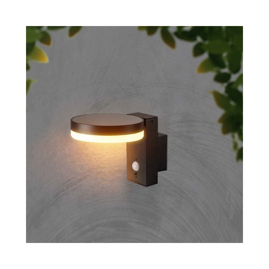 Soldrevet LED væglampe med sensor LED/5,5W/3,7V 3000K IP54