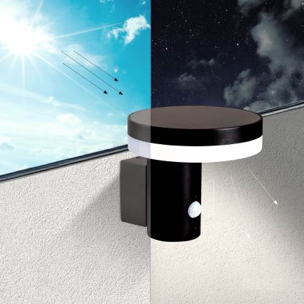 Soldrevet LED væglampe med sensor SOLARIS3 LED/5,5W/3,7V 4000K IP44 2600 mAh