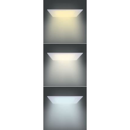 LED-panel LED/12W/230V 3000/4000/6000K 17x17 cm hvid