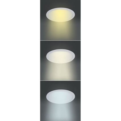 LED-panel LED/6W/230V 3000/4000/6000K Ø 12 cm hvid