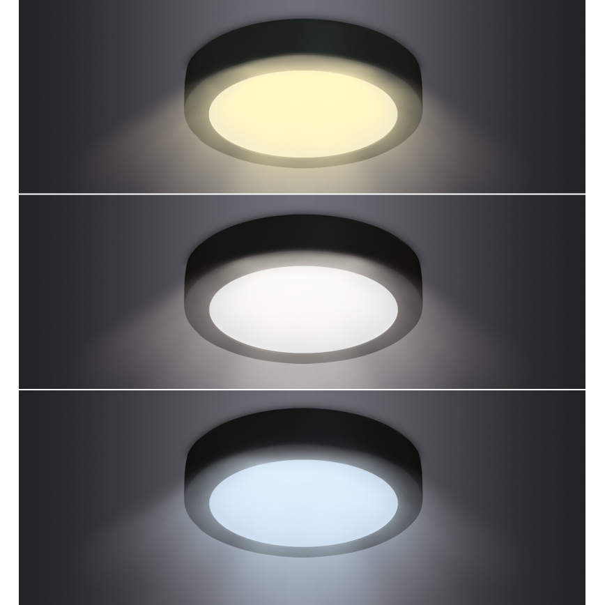 LED loftlampe LED/12W/230V 3000/4000/6000K sort rund