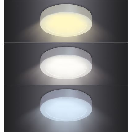 LED loftlampe LED/12W/230V 3000/4000/6000K Ø 17 cm hvid