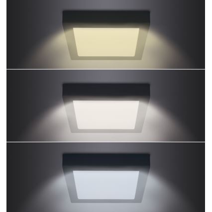 LED loftlampe LED/12W/230V 3000/4000/6000K sort kantet