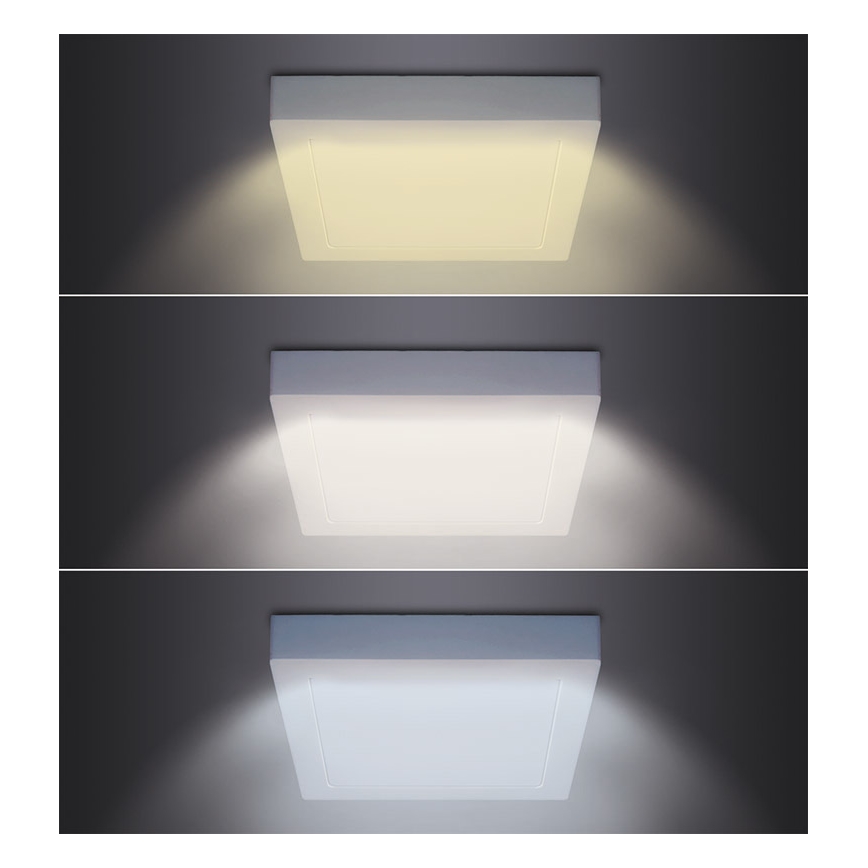 LED loftlampe LED/12W/230V 3000/4000/6000K 17x17 cm hvid